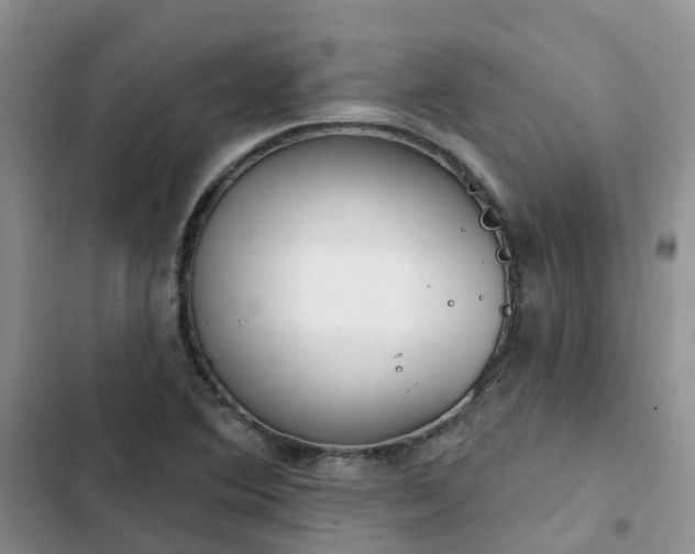 X0000102771364200808251042