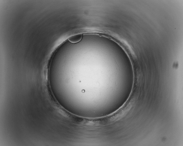 X0000102771365200808251042