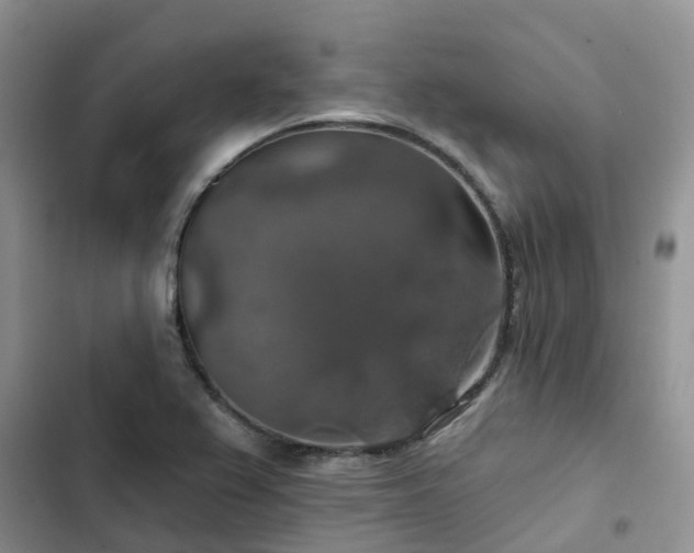 X0000102771367200808251042