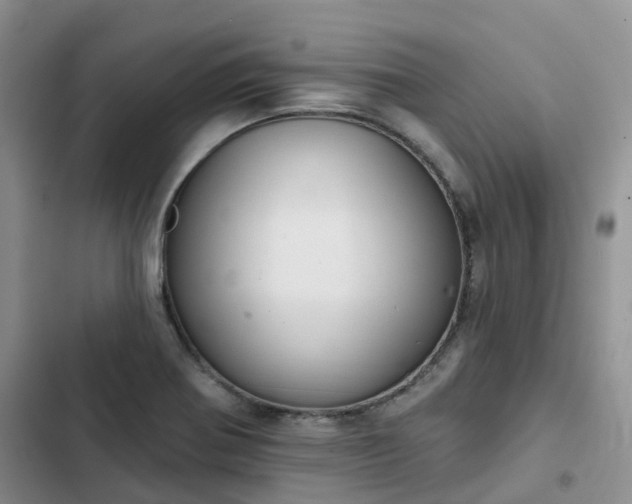 X0000102771370200808251042