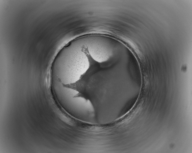 X0000102771371200808251042