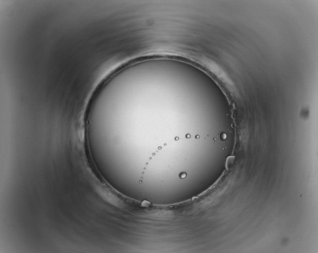 X0000102771372200808251042