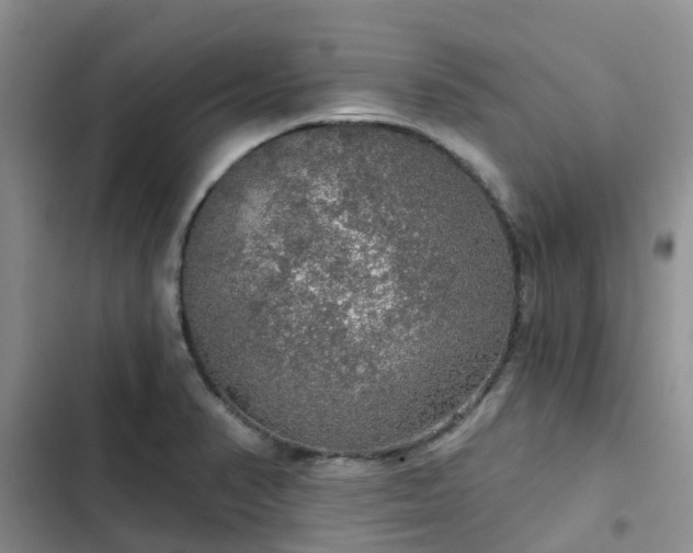 X0000102771374200808251042