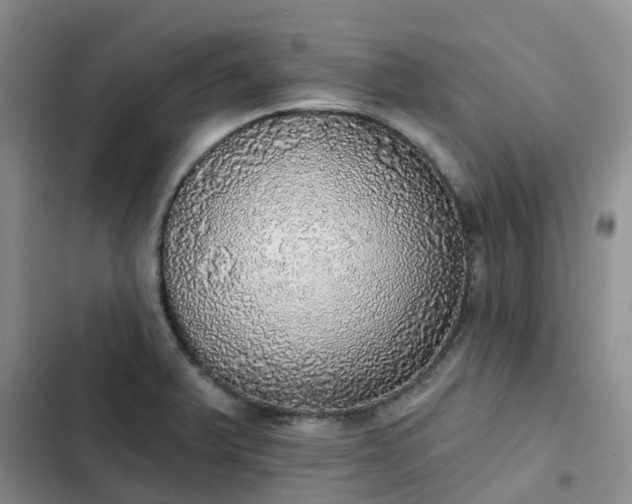 X0000102771375200808251042