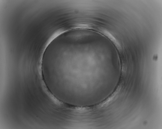 X0000102771378200808251042