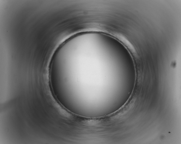 X0000102771380200808251042