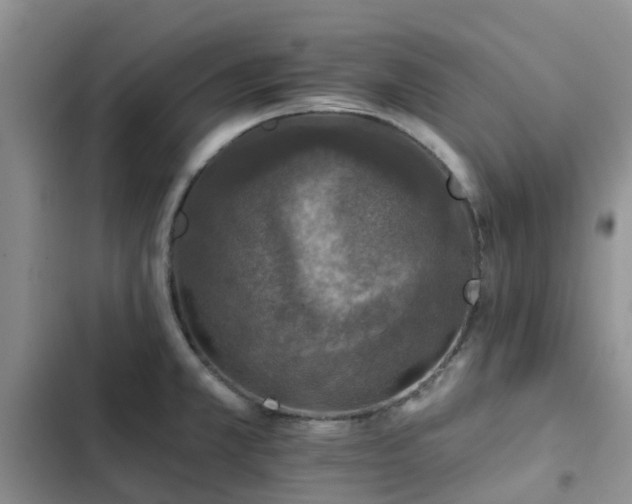 X0000102771381200808251041