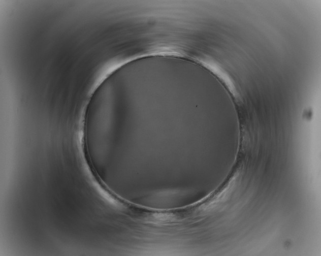 X0000102771383200808251041