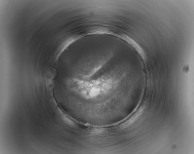 X0000102771385200808251041