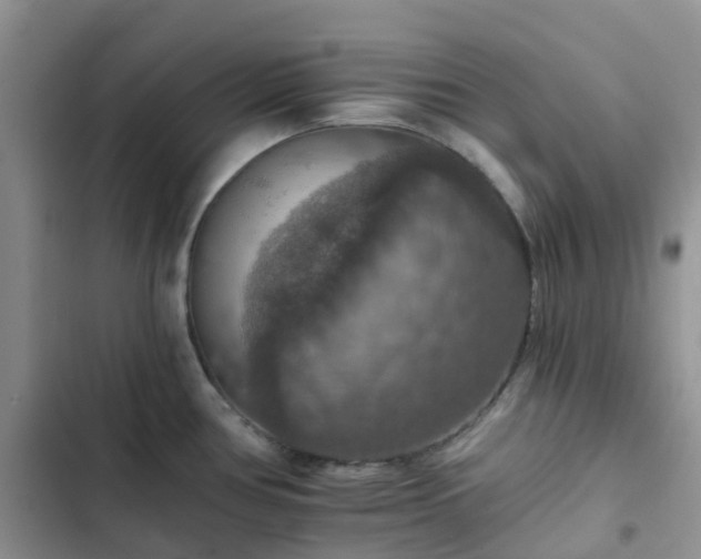 X0000102771386200808251041