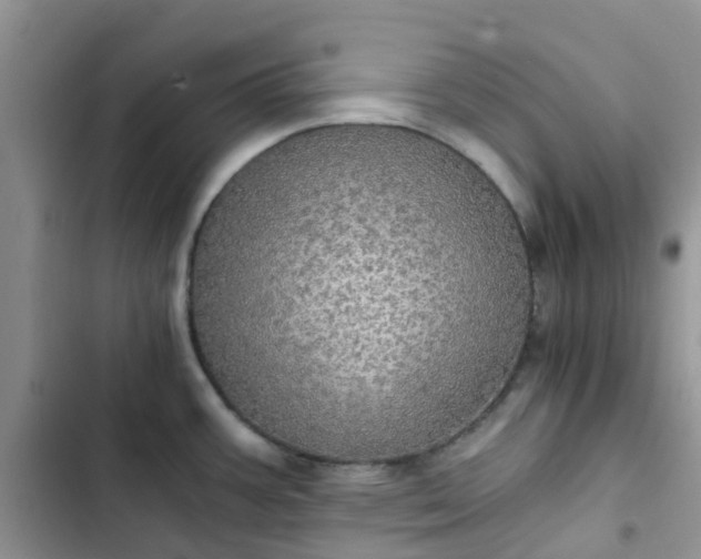 X0000102771387200808251041