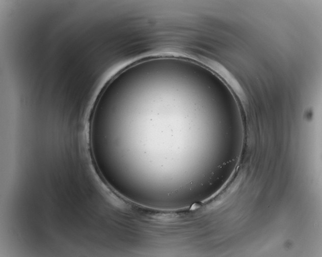 X0000102771388200808251041