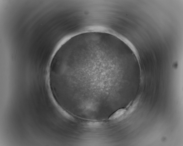 X0000102771389200808251041