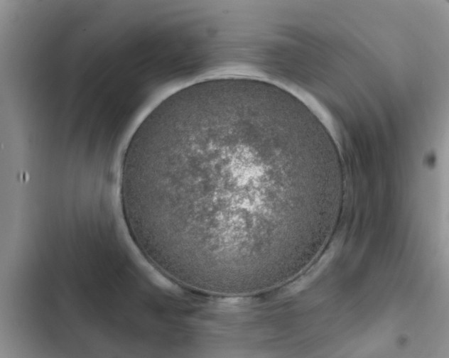 X0000102771390200808251041