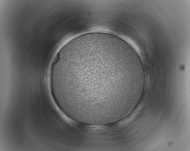 X0000102771391200808251041