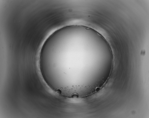 X0000102771392200808251041