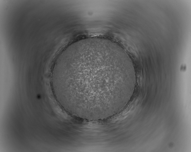 X0000102771393200808251041