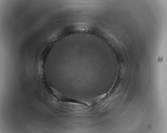 X0000102771394200808251041