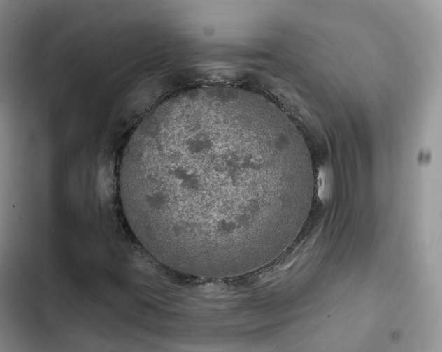 X0000102771395200808251041