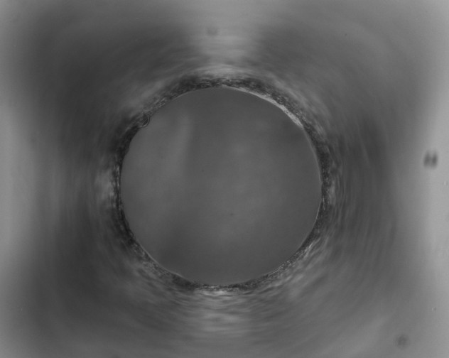 X0000102771397200808251041