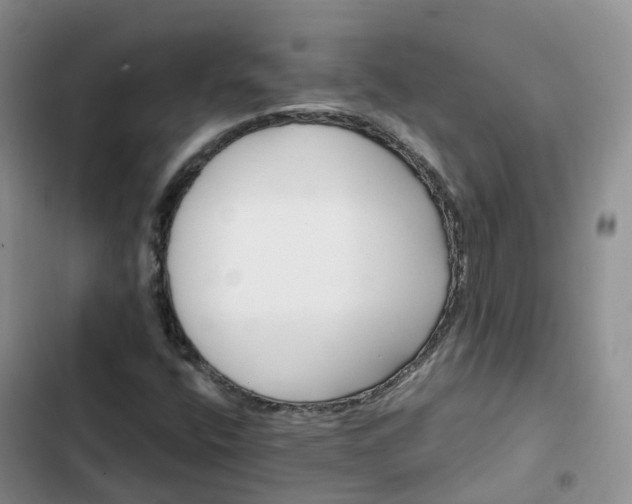 X0000102771400200808251041