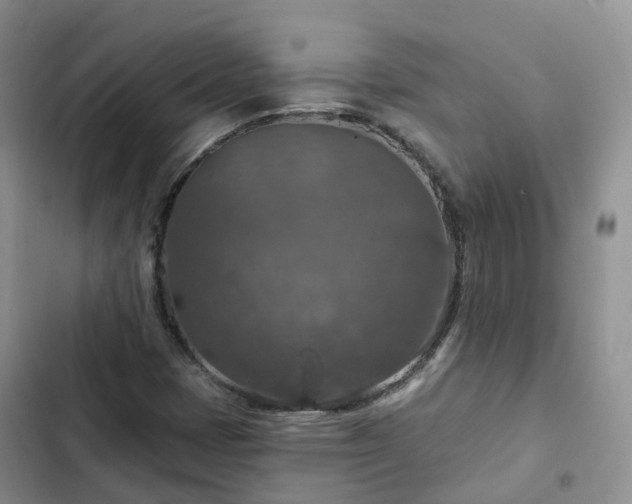 X0000102771401200808251041