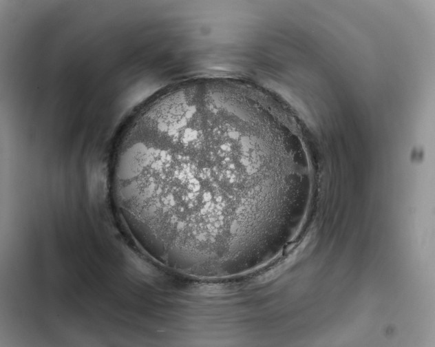 X0000102771402200808251041