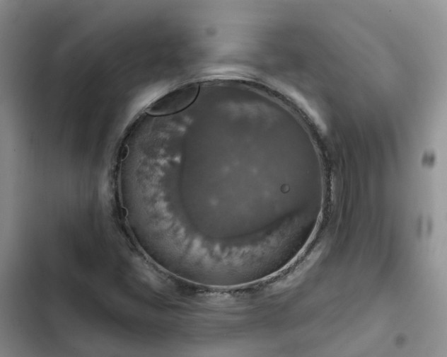 X0000102771405200808251041