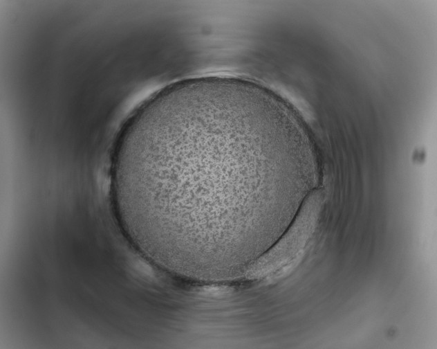 X0000102771406200808251041