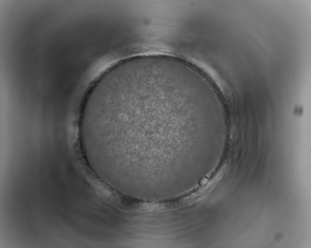 X0000102771407200808251041