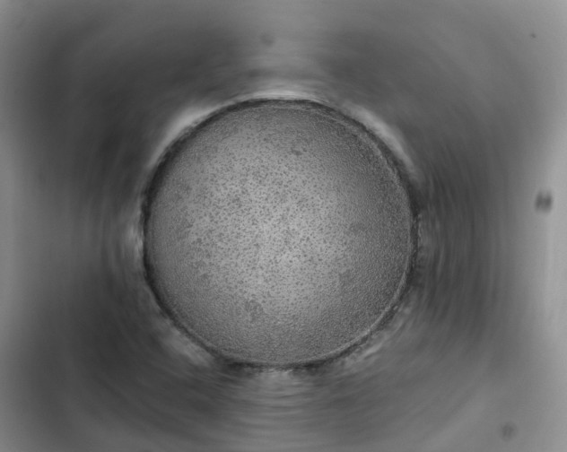 X0000102771408200808251041