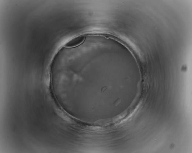 X0000102771413200808251041