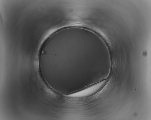 X0000102771414200808251041