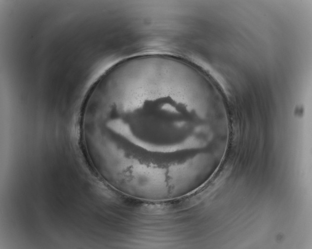 X0000102771415200808251041