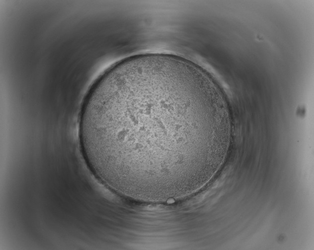 X0000102771416200808251041