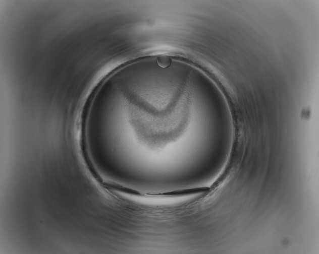 X0000102771418200808251041