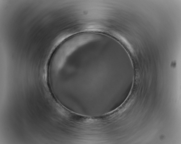 X0000102771419200808251041