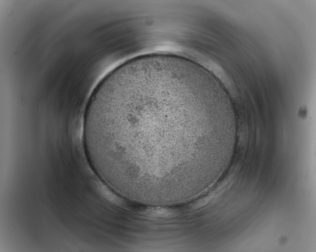 X0000102771420200808251041