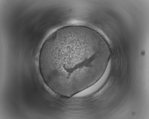 X0000102771421200808251041