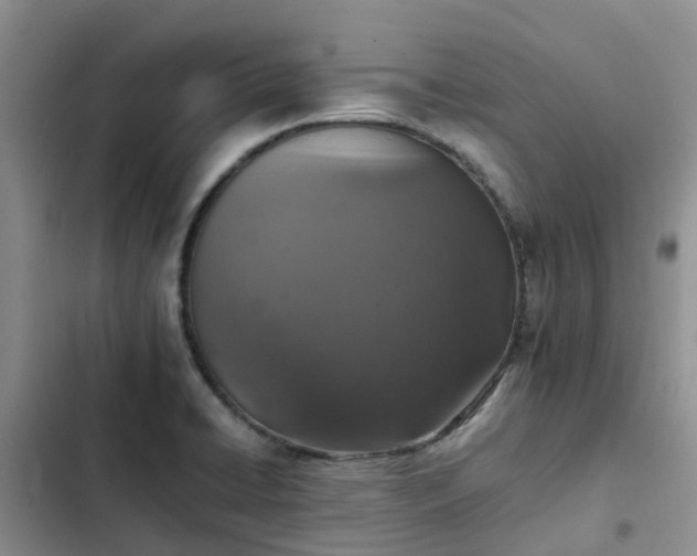 X0000102771422200808251041