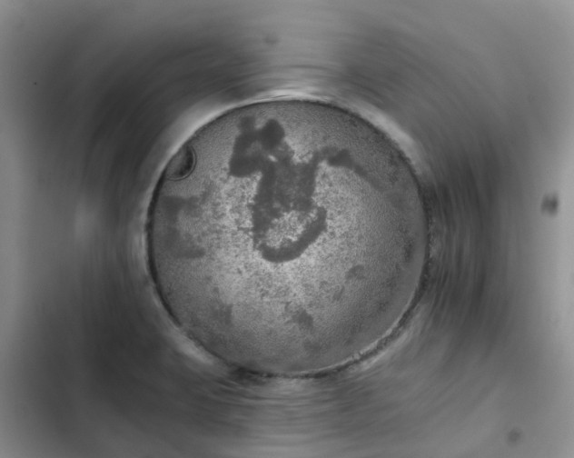 X0000102771423200808251041