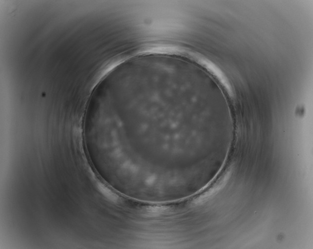 X0000102771425200808251041