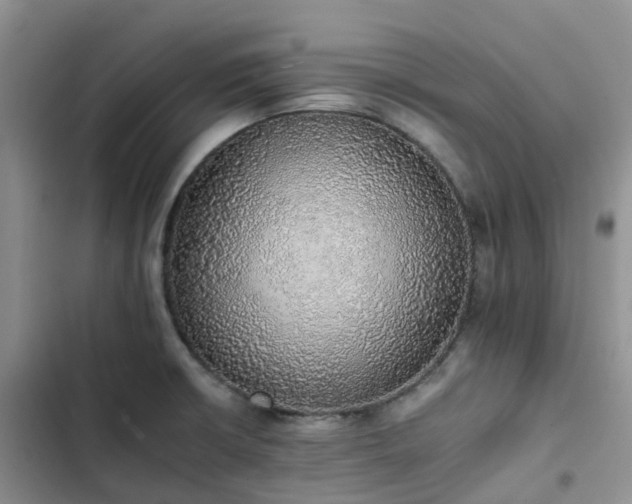 X0000102771426200808251041