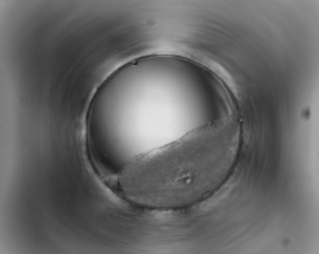 X0000102771428200808251041