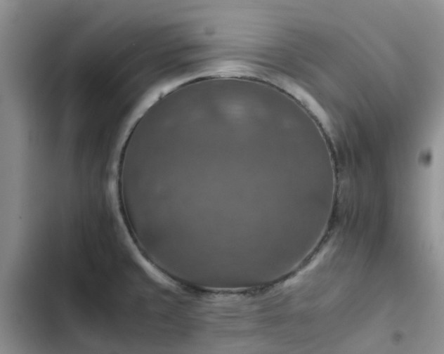 X0000102771429200808251041