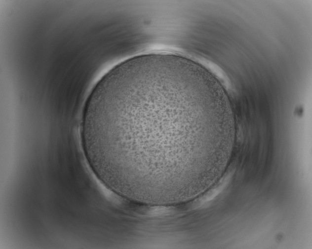 X0000102771430200808251041