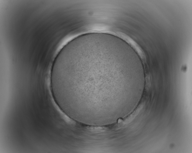 X0000102771432200808251041