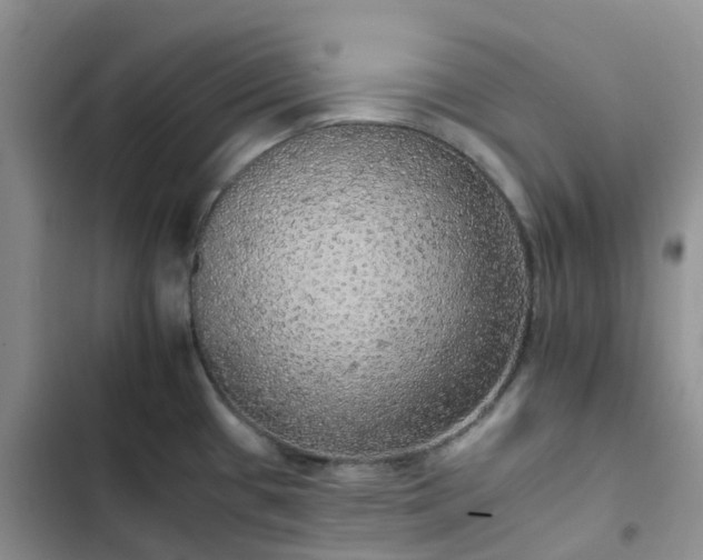 X0000102771433200808251041