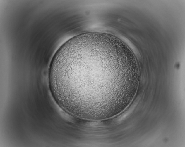 X0000102771434200808251041