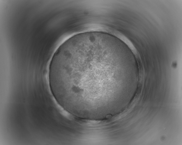 X0000102771439200808251041